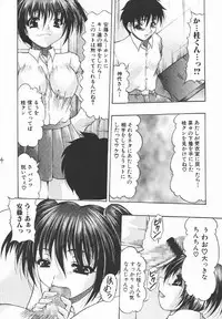 (C69) [Acid Noel (Mitsuki Rintarou)] Icon (GUN X SWORD)