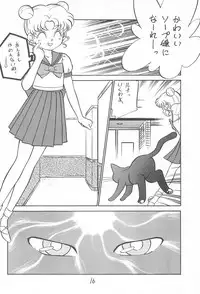(C46) [CHROMATIC ROOM (Maka Fushigi)] Kyoubancha (Bishoujo Senshi Sailor Moon)