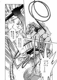 [Shibata Masahiro] Sarai Vol.10