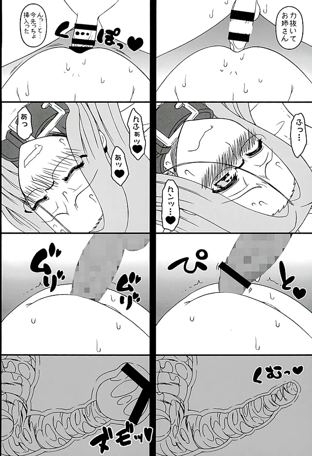Rider-san ni Yobai o Onegai Saremashita. Koumon Hen