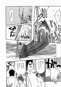 [Koshou Shoushou] Kyonyuu Inran Choukyou ~ Kyashii no Sainan ~