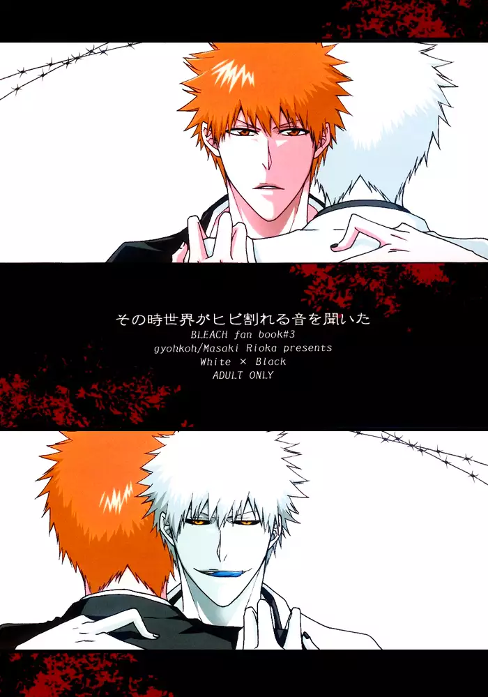 Sono Toki Sekai ga Hibi Wareru Oto wo Kiita