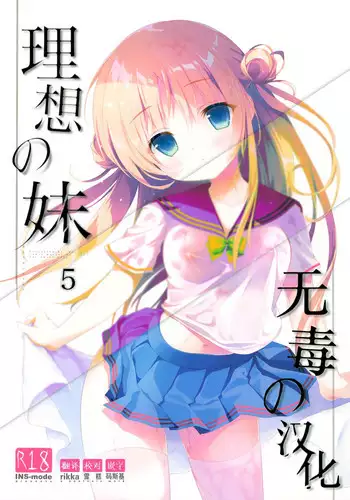 (C88) [INS-mode (Amanagi Seiji)] Risou no Imouto [Chinese] [嗶咔嗶咔漢化組]