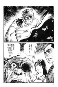 [Koike Kazuo, Kojima Goseki] Hanzou no Mon Vol.5
