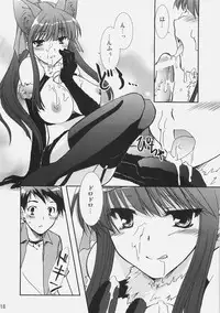 (C72) [CHAGASHI SAIBAN (Yamabuki Mook)] Aisai (Double Sensei Life)