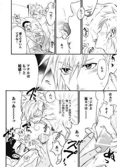 Hatsujou Pet Choukyouchuu!
