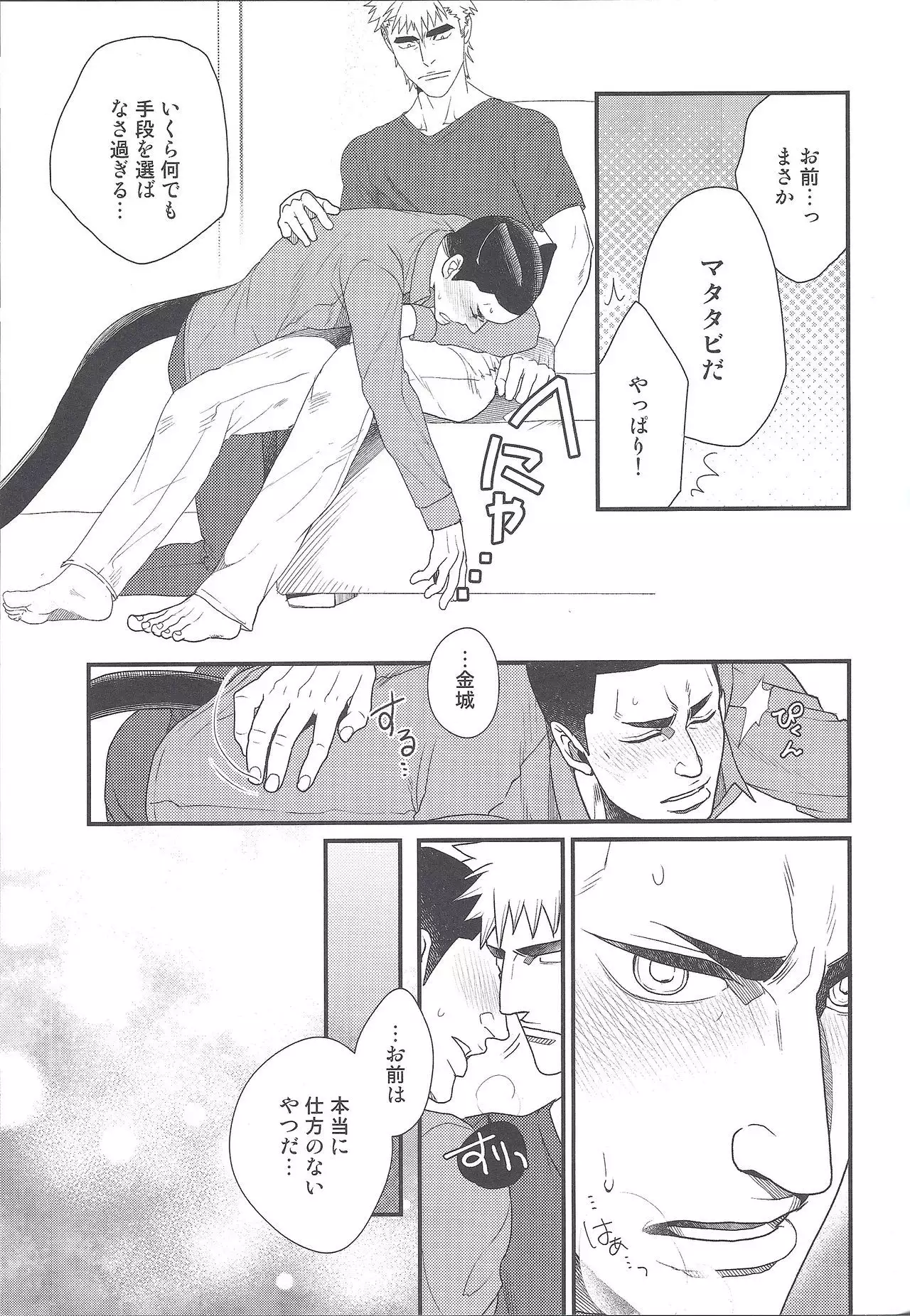 Shippo no Kimochi