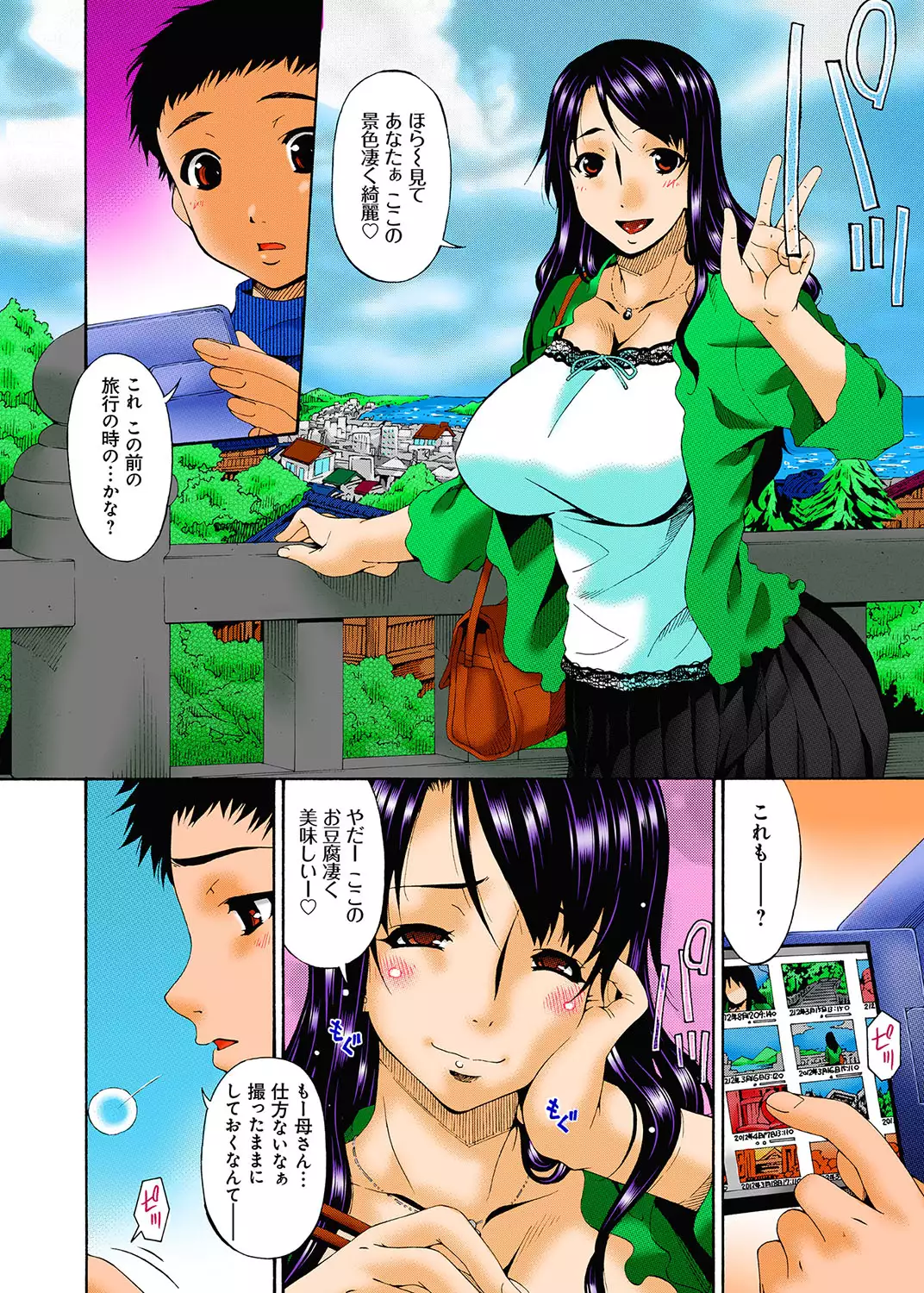 Hametorare full color