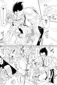 MOEBON BALL KAI (Dragonball Z) [Vegeta X Bulma]
