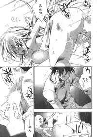 Doki! 2007-11