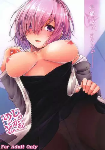 (C97) [Juggernaut (JYUN)] ROMANCE (Fate/Grand Order) [Chinese] [一只麻利的鸽子汉化]