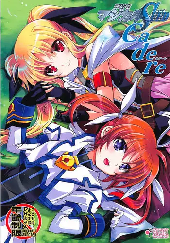 (COMIC1?13) [PLUM (Kanna)] Mahou Shoujo Magical SEED Cadere (Mahou Shoujo Lyrical Nanoha)