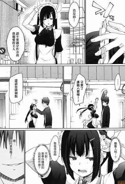 Houshi Shuzoku ga Yattekita!