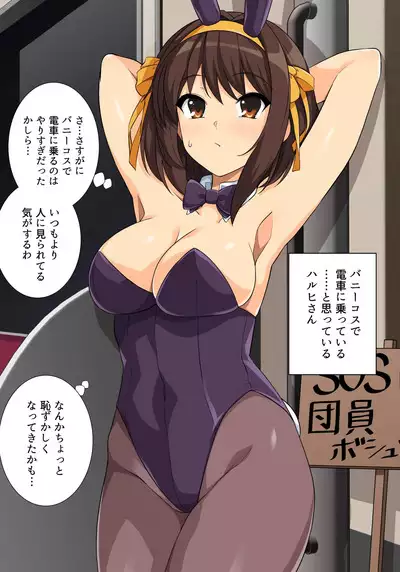 Harucos 14