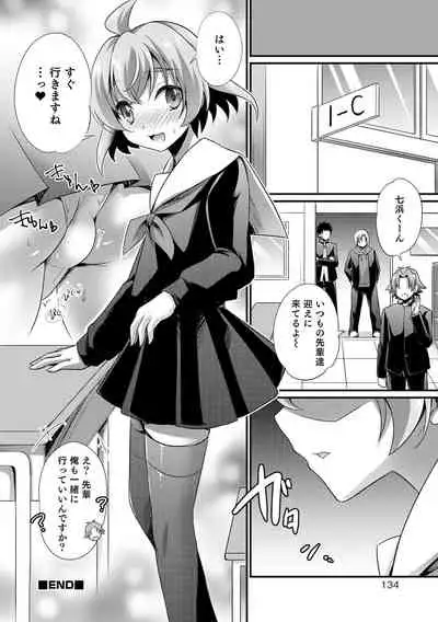 Etchina otokonoko no sodate-kata