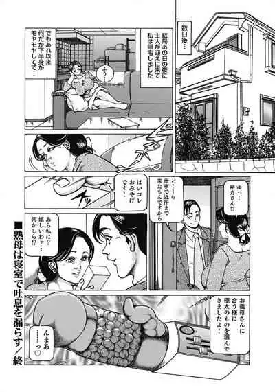 [Anthology] Oiroke Hitozuma Yariyari Nikki [Digital]