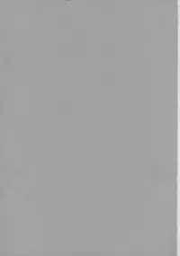 (C70) [Todd Special (Todd Oyamada)] Yukemuri NyanNyan Jiken (Bleach)