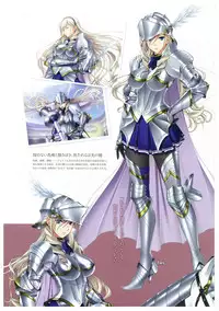 Walkure Romanze More & More Visual Fan Book