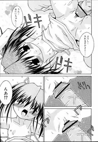 COMIC RiN 2006-09