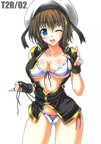 (SC2016 Autumn) [BRIEST (Yatsushima Tetsuya)] T2R/09 (High School Fleet)