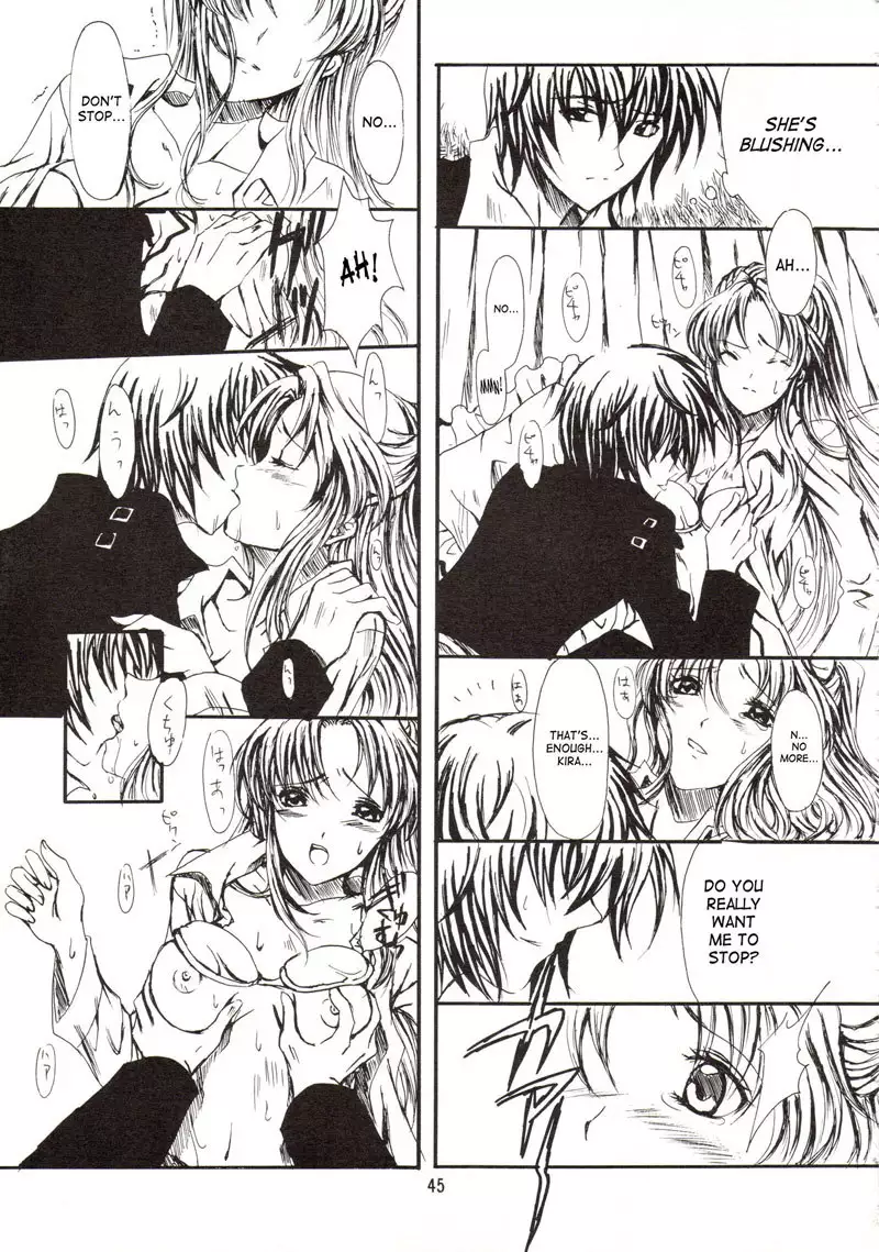 Gundam Seed - LH KF