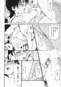 [Tanaka Yutaka] Shiawase H