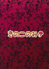 (COMIC1☆6) [Kinokonomi (kino)] Meshimase Koakuma 2 (Touhou Project)