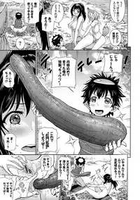 Seikou Harem