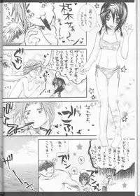 (C70) [PONCHEES (KARI) (Irohane Sui)] Rukia Kuchiki Minimum Maniax File (BLEACH)