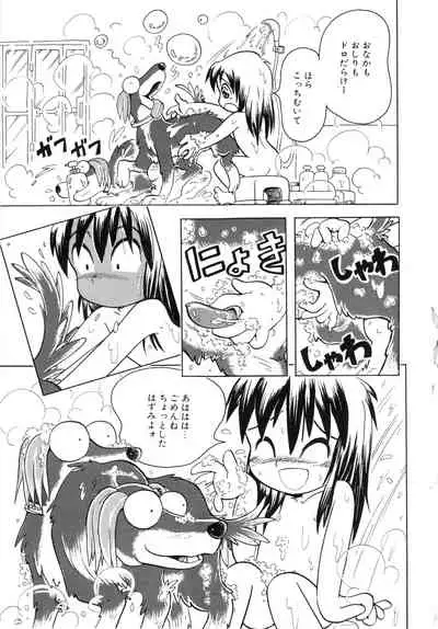 Pocket ni Koukishin
