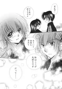 (C68) [Sakurakan (Seriou Sakura)] Tobikiri no Himitsu 3 <<Kanketsuhen>> (Inuyasha)