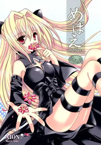 [Aion (Amou Mari)] Kokuu e Rocket (Fullmetal Alchemist)