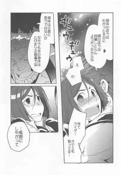 (C91) [Kiku Yashiki (Kiku Yarou)] Ou ni Koishita Douke no Hanashi (Fate/Zero)