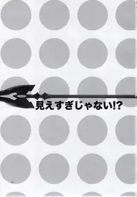 (C77) [Aihara Otome (Yamada Nyoriko)] Miesugi Janai (Neon Genesis Evangelion)