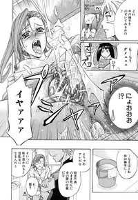 [Kikuichi Monji] W-C Water Closet