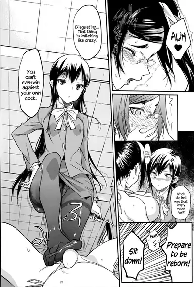 Seitokaichou no Himitsu
