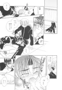 [Mikami Hokuto] White Drop