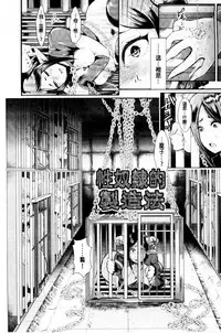 [Shomu] Black Desire -Mesu Ochi Seishori Pet- [Chinese]