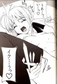 [Precious HEART] Shiritsu Fate Gakuen ~Saber Tennyuuhen~ (Fate/stay night)