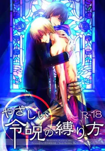 [OVERDOSE (Hashiba Yachi)] Chikaku Kyouyuu Access Decontrol (Fate/Zero) [Digital]