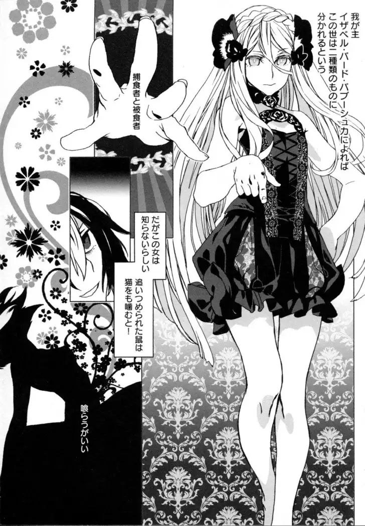 Mebae Vol. 5 - Vivid Girls Love