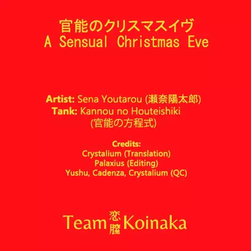 A Sensual Christmas Eve