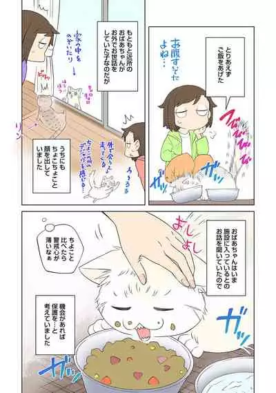 COMIC Ananga Ranga Vol. 73