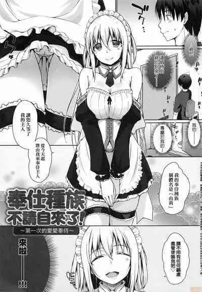 Houshi Shuzoku ga Yattekita!