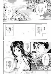 [Setsuna] Hoshikuzu Sakura | STAR DUST CHERRY TREE.