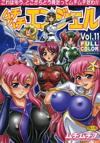 (C69) [Bloody Hawk (Various)] Lie4channel (GUNDAM SEED DESTINY, Eureka Seven)