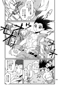[Shibainu Lab (Hori)] HisoGon_Kikou Data Tsumeawase (Hunter x Hunter) [Digital]