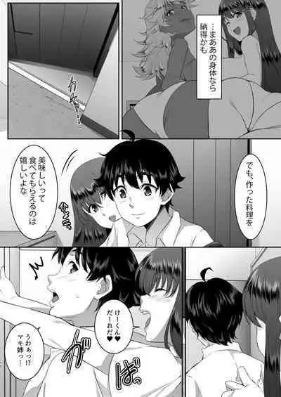 Sei Yariman Sisters Pakopako Nikki 2R