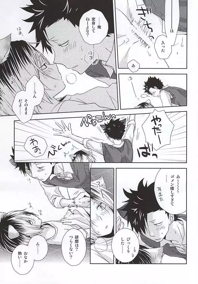 Neko Otoko Ichizoku no Koubi Report