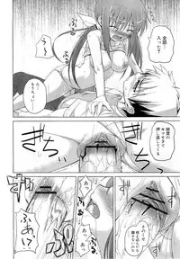 COMIC RiN 2010-11